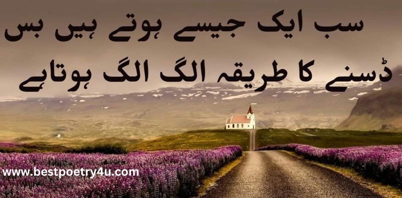 attitude poetry lines in urdu