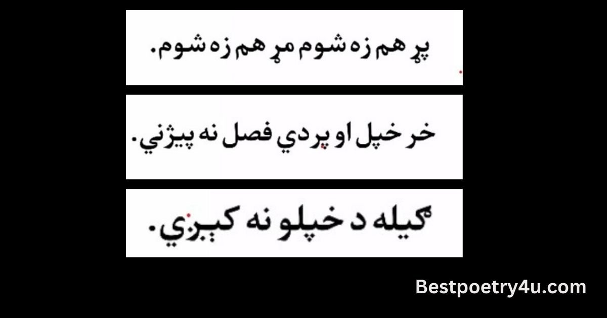 Pashto matal