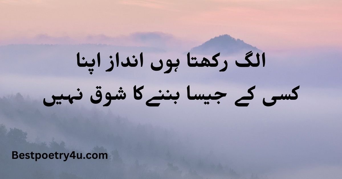 Attitude poetry in Urdu