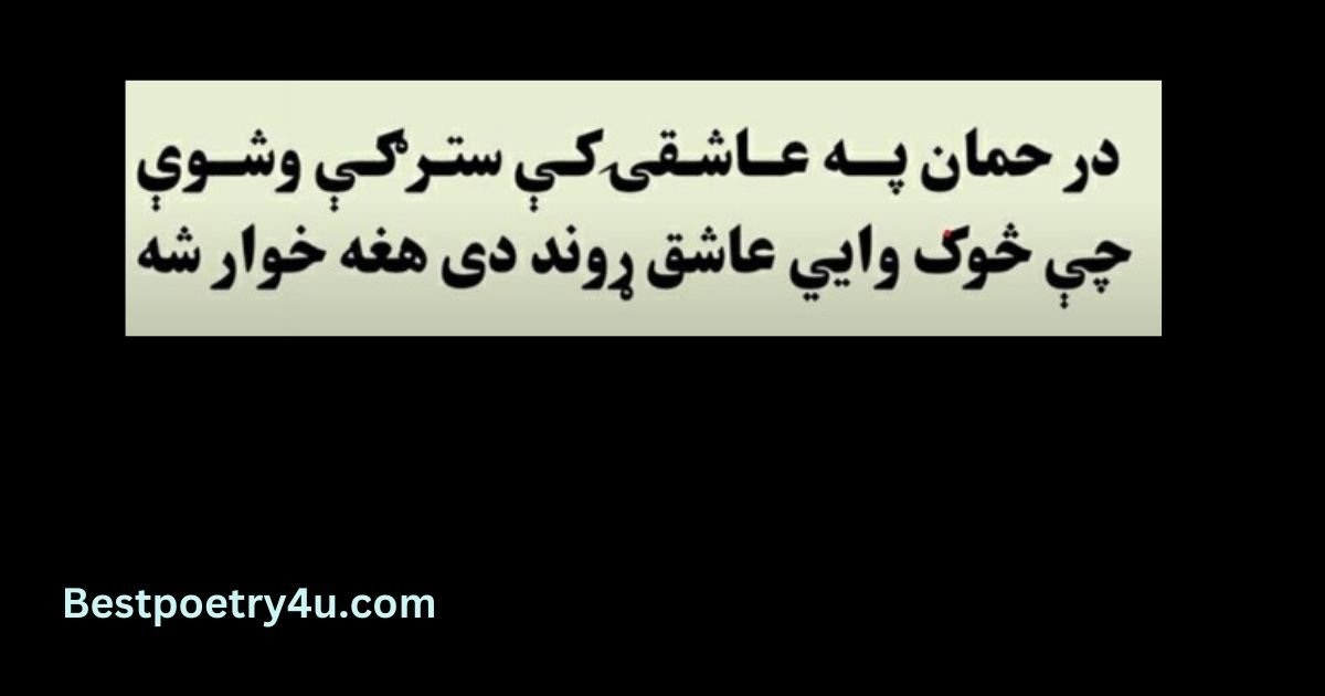 Pashto poetry