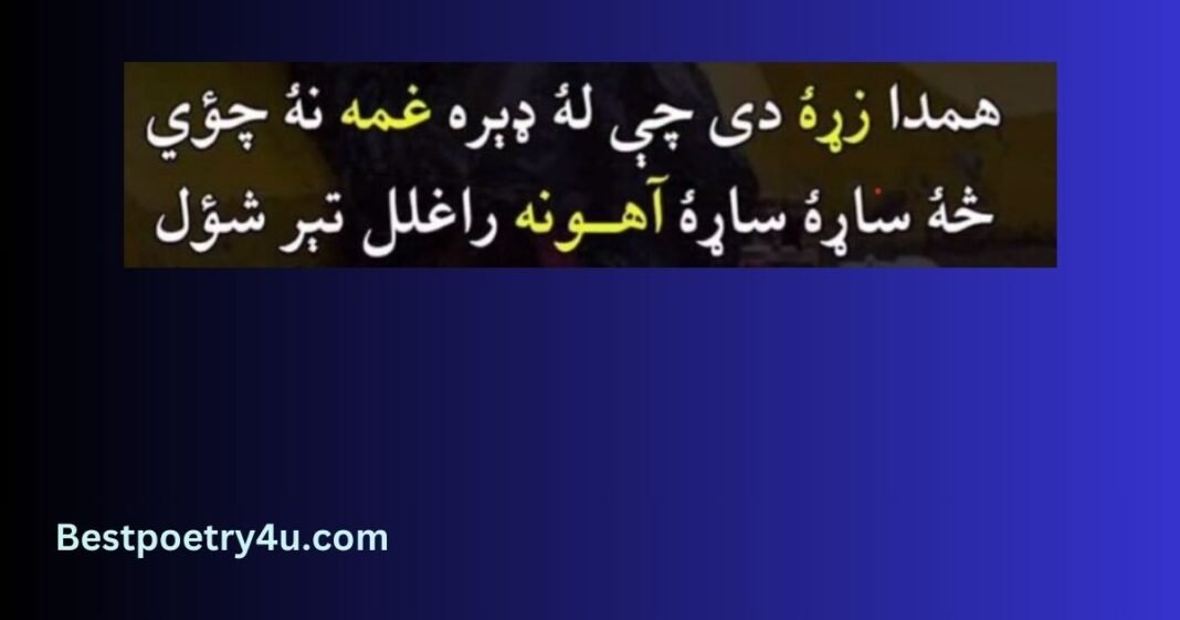 Pashto Poetry : Best 45 Pashto Poetry - Bestpoetry4u.com