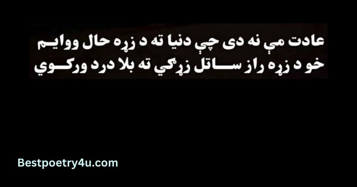 Pashto poetry