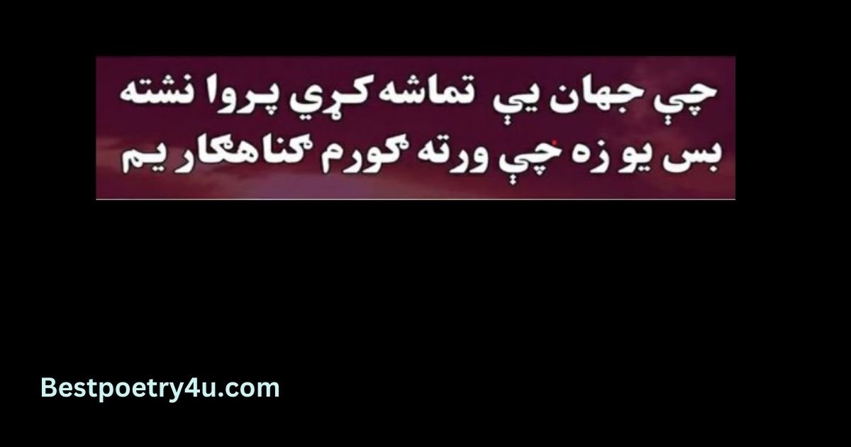 Pashto Poetry