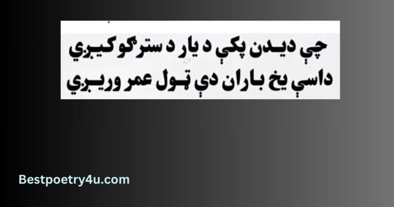 Pashto Poetry : Best 45 Pashto Poetry - Bestpoetry4u.com