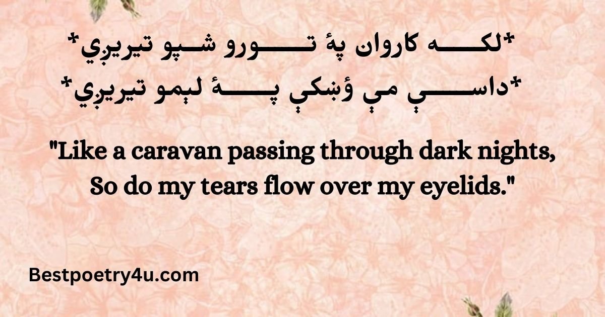 Pashto poetry in English translation