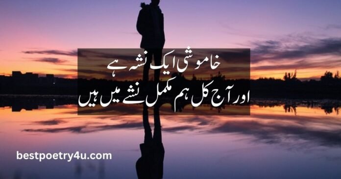 Poetry in Urdu 2 lines attitude