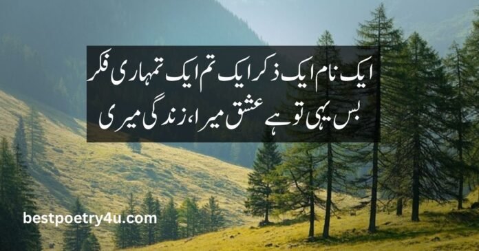 Urdu poetry 2 lines romantic