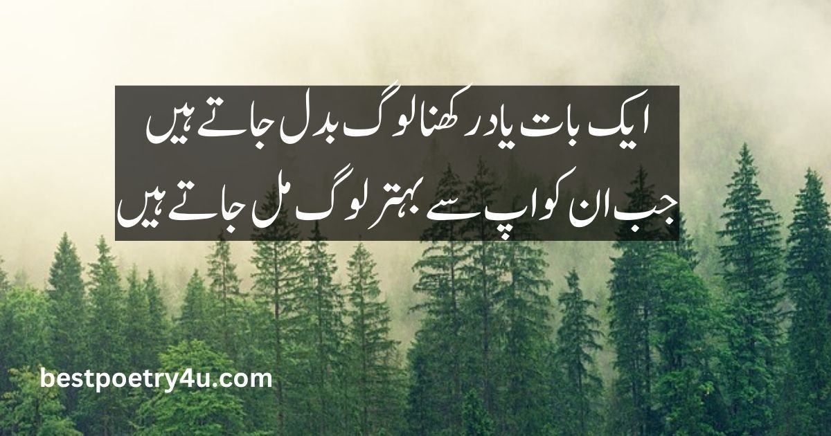 Poetry in Urdu 2 lines attitude