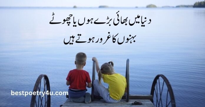 Brother poetry in Urdu 2 lines