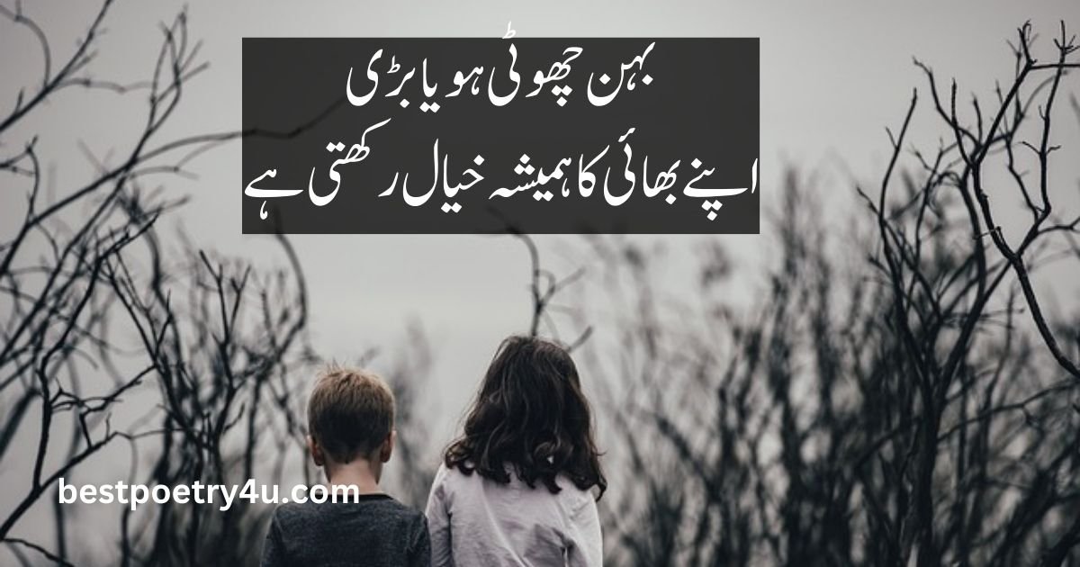 Brother poetry in Urdu 2 lines