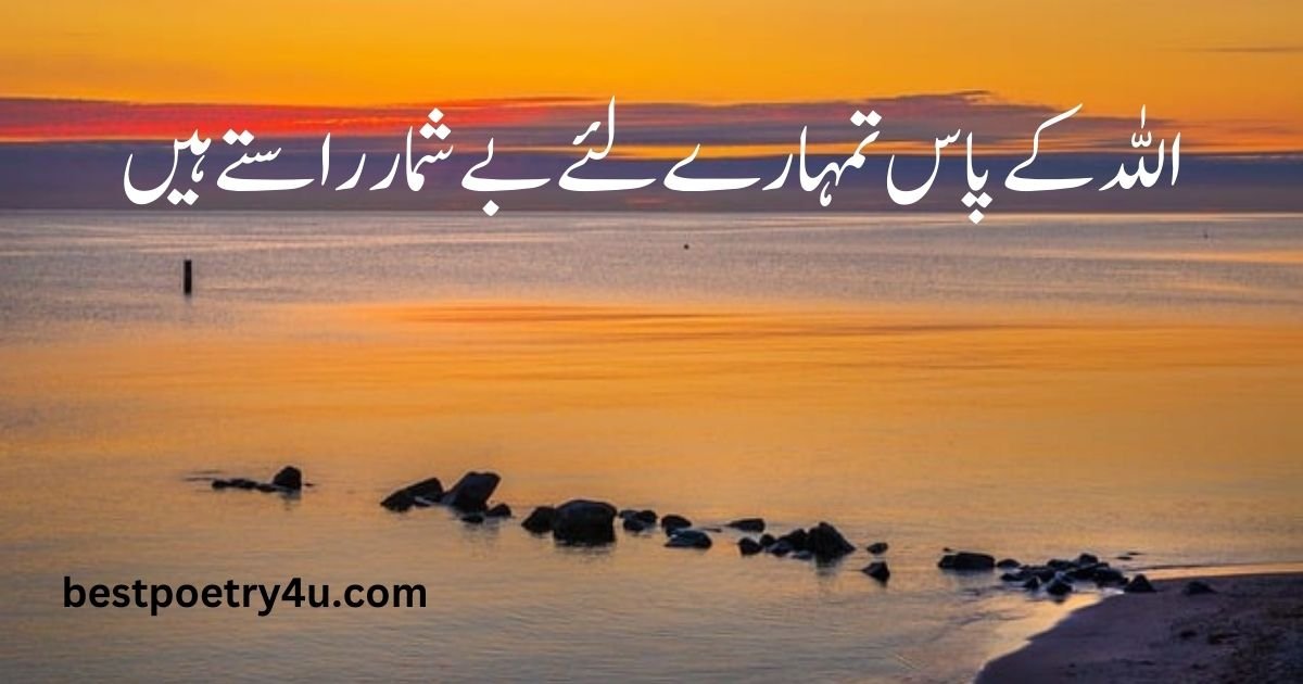 One line poetry in Urdu text