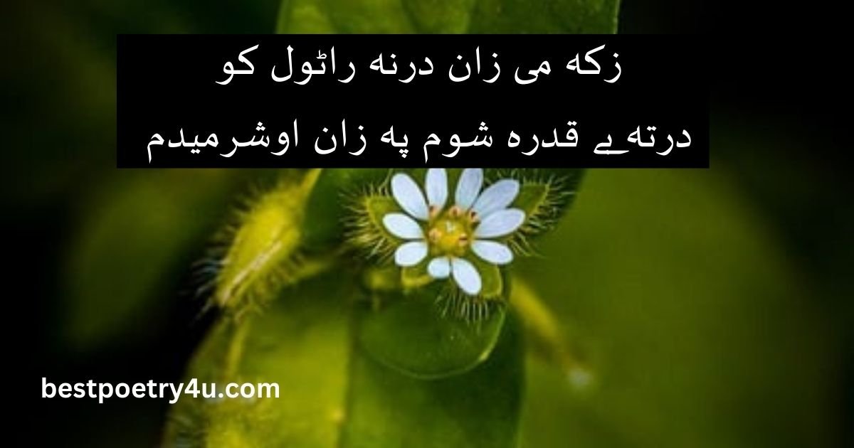 Bewafa Pashto Poetry