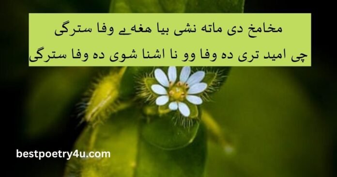 Bewafa Pashto poetry