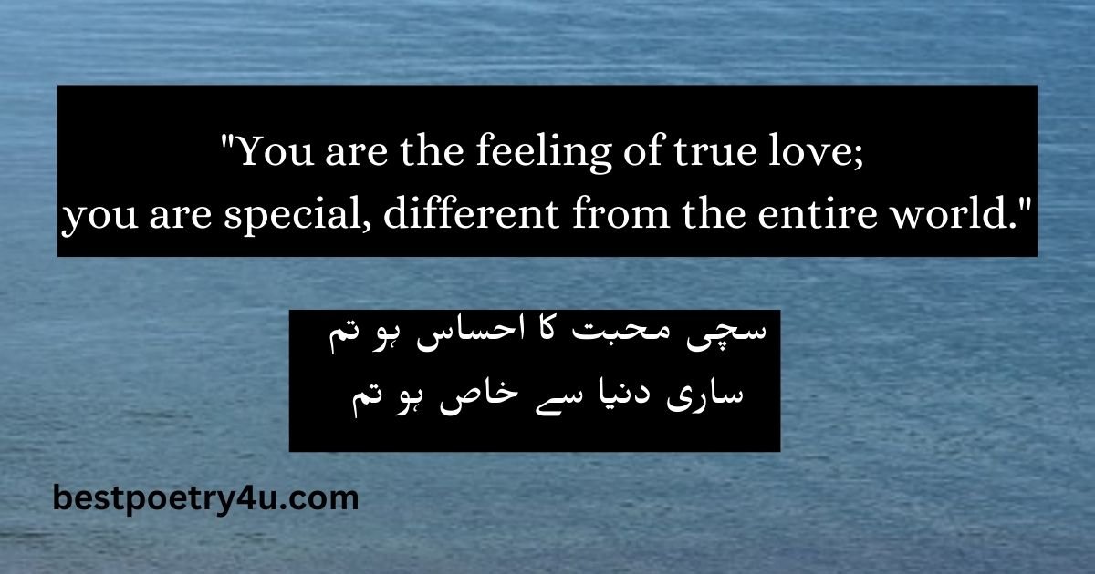 Urdu poetry to English Translation