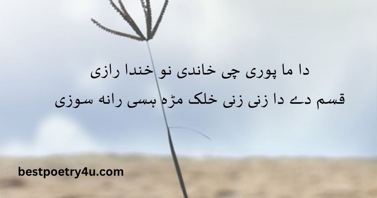 Pashto poetry 2 lines attitude