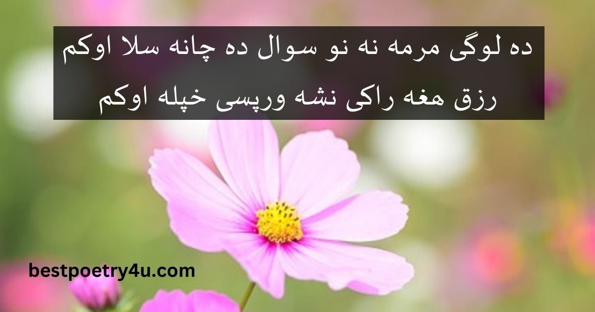 Munir Buneri pashto poetry