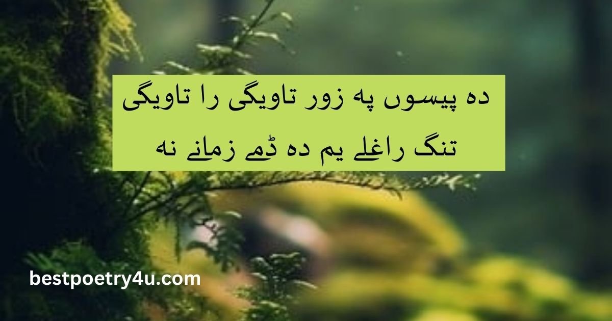 Bewafa pashto poetry