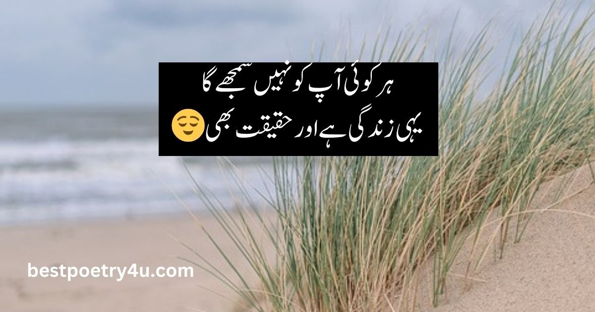 Poetry in Urdu Attitude