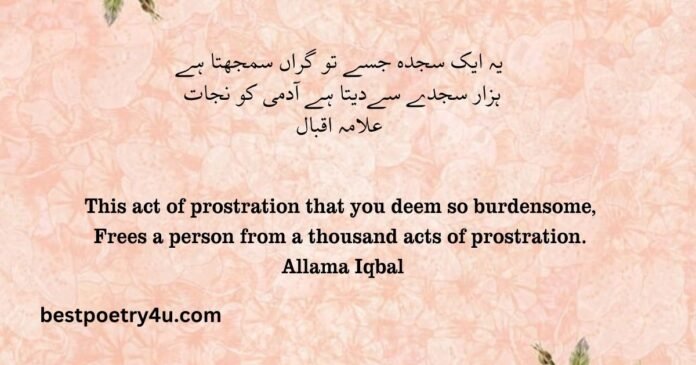 Urdu Poetry translated in English