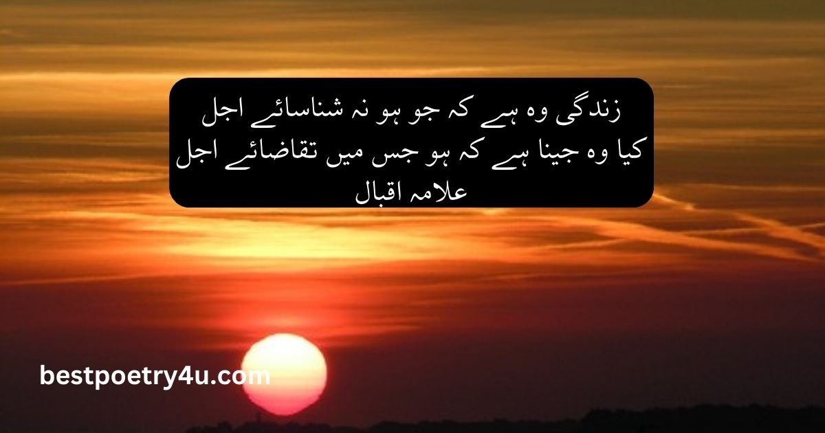 Poetry about life in Urdu