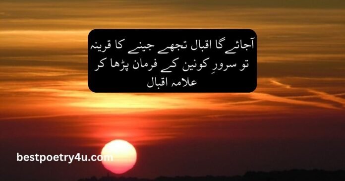 Poetry About Life in Urdu