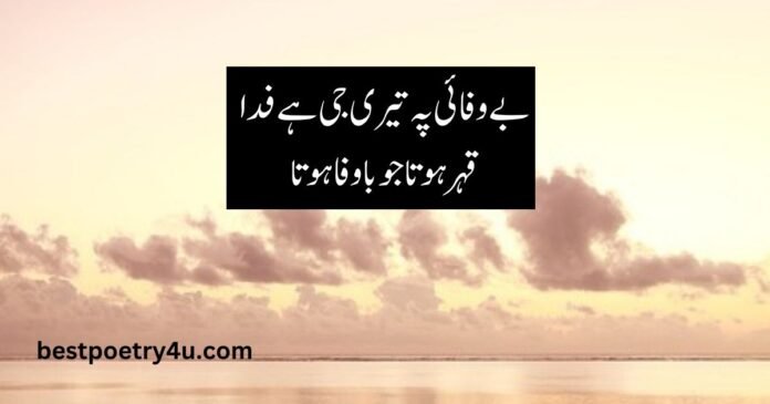 Meer Taqi Meer Poetry 2 Lines in Urdu