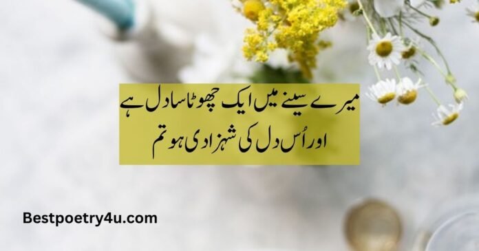 2 line urdu poetry romantic sms