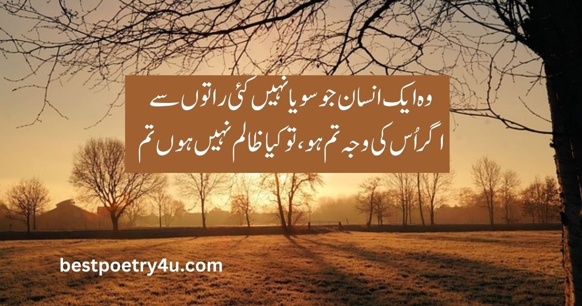 Urdu Text Poetry